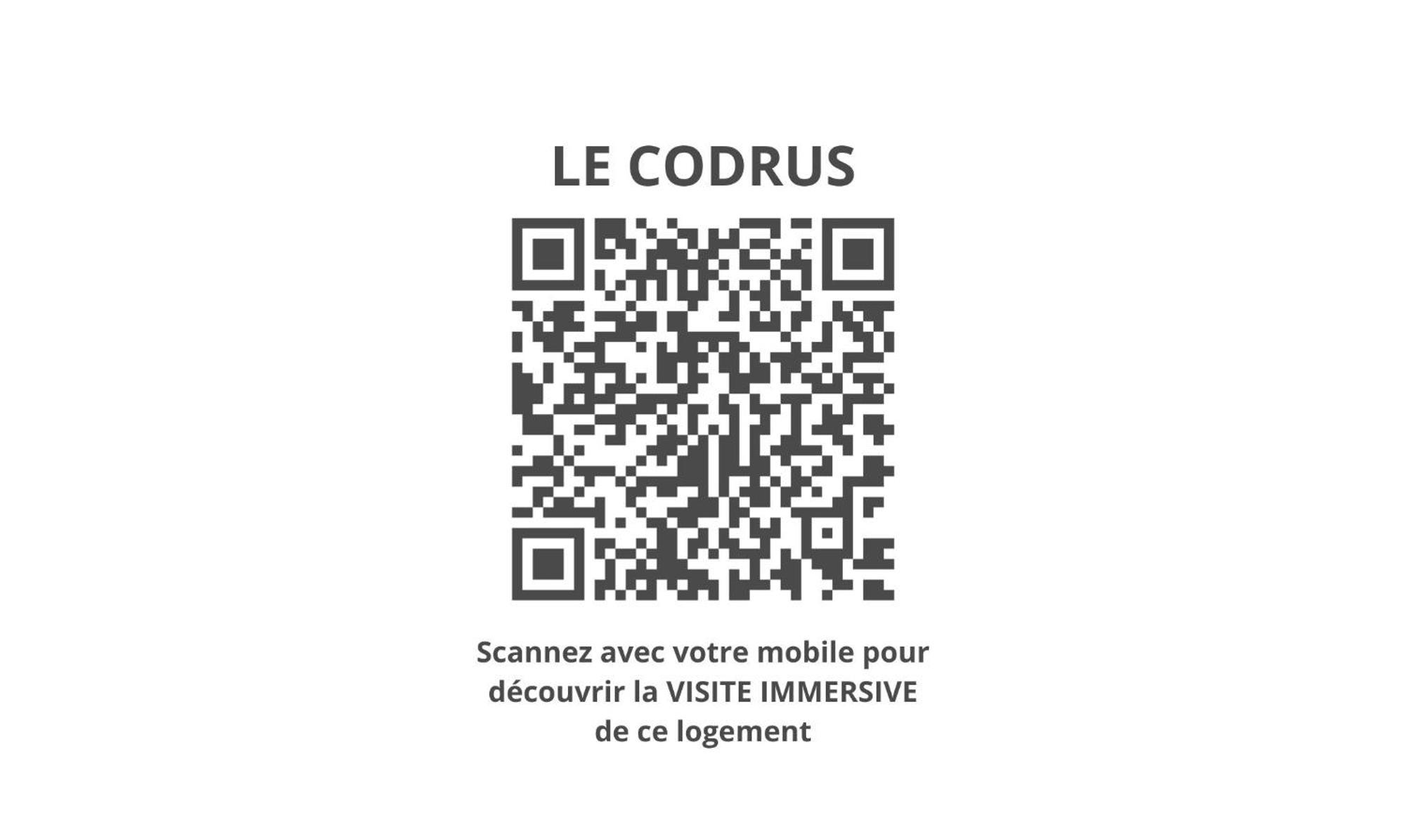 Le Codrus - Charmant Appartement Dans L'Hyper Centre Toulousain Τουλούζη Εξωτερικό φωτογραφία